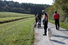 IMG_7826