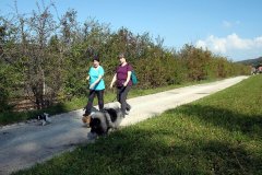 IMG_7869