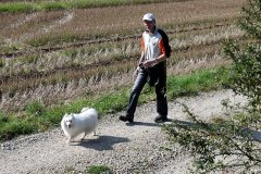 IMG_8184
