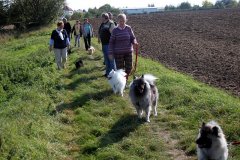 IMG_0628_a