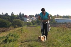 IMG_0640_a