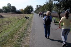 IMG_0664_a
