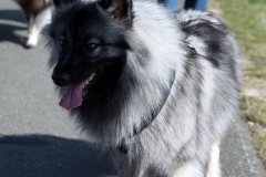 IMG_0714_a