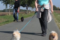 IMG_0716_a