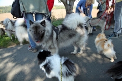 IMG_0769_a