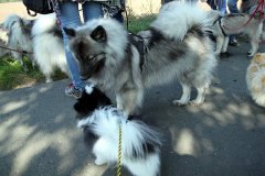 IMG_0770_a