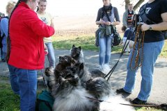 IMG_0833_a