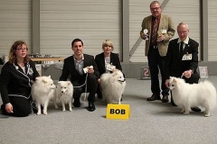 008bob_japan