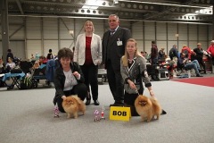 019bob_zwerge