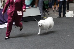 020