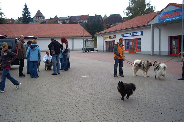 Wanderung am 3. Oktober 2009 – Schleusingen
